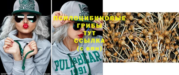 герыч Вязьма