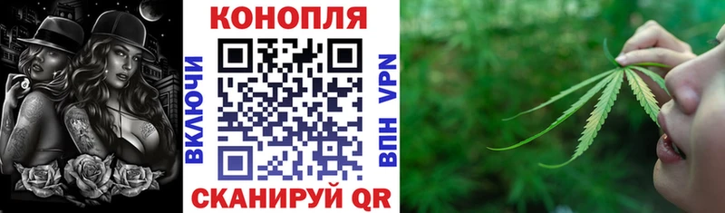 купить наркотики сайты  Дубовка  Канабис Ganja 